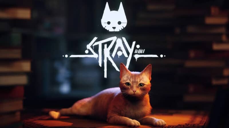 Stray: Tierisches Action-Adventure erscheint bald